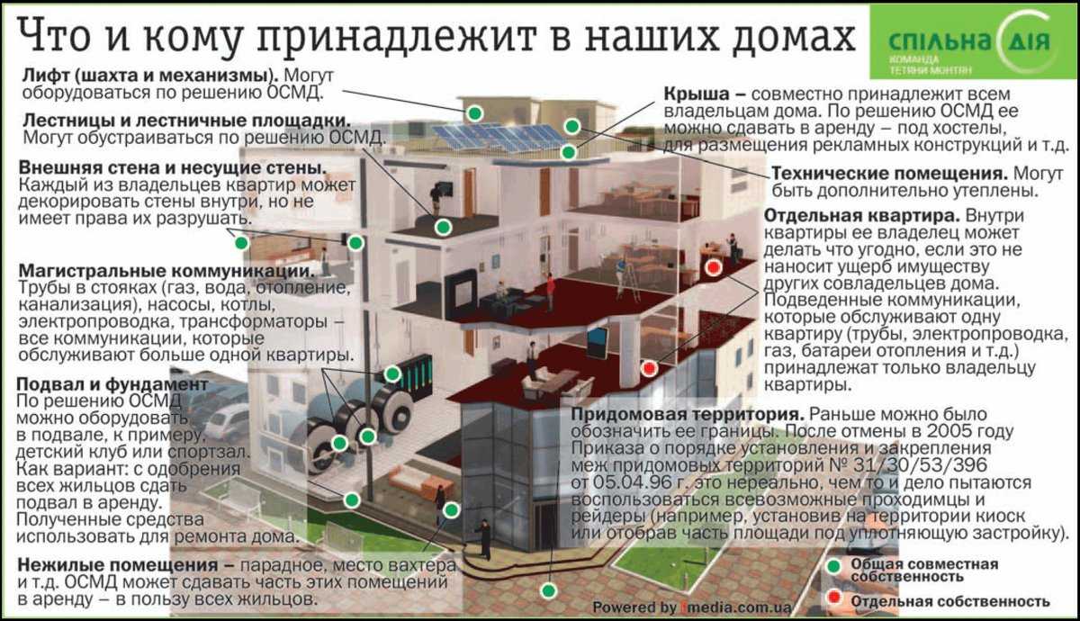 Как избавиться от бродячих собак во дворе законно