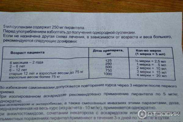Пирантел для животных: эффективность и дозировки