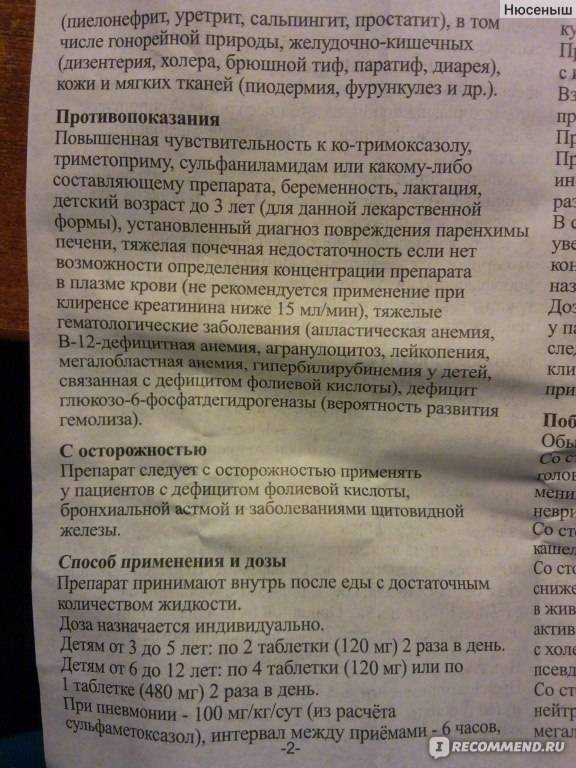 Бисептол для собак: назначение, способы применения