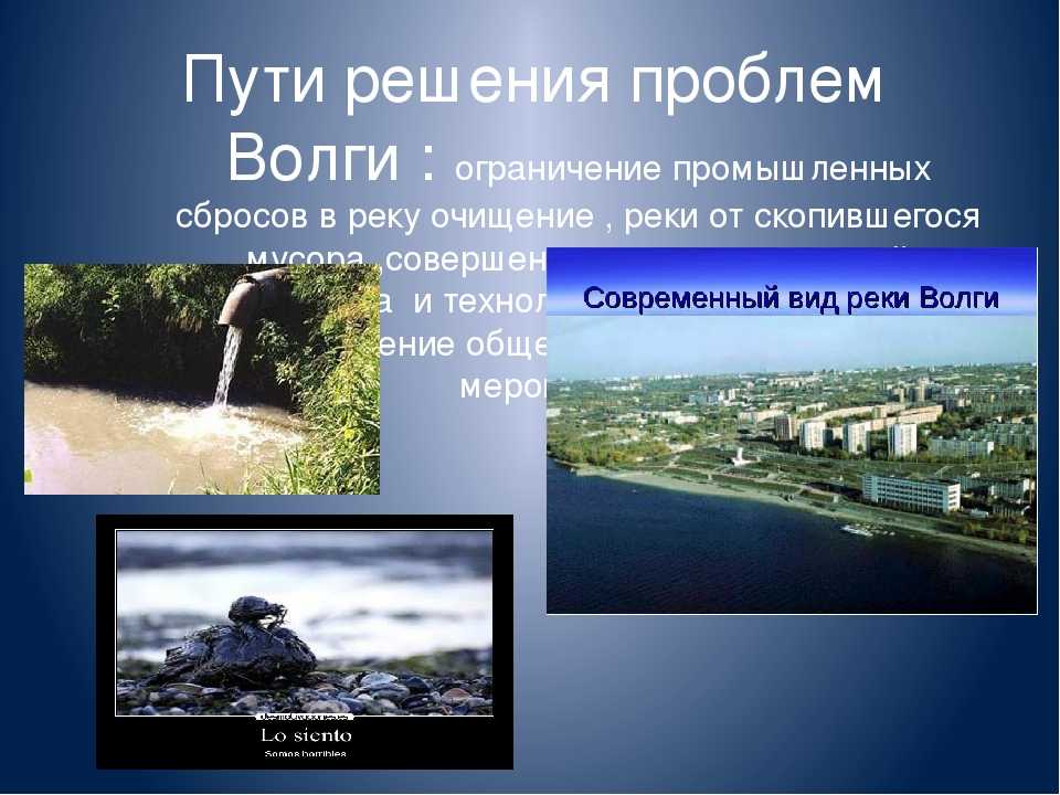 Экологическое состояние реки волги 10 класс