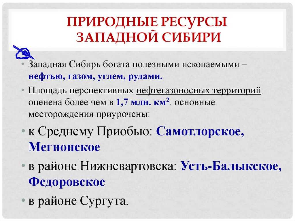 Экологические проблемы тундры кратко