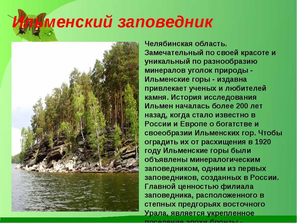 «красота и богатство поражают»: путешествие по заповедным местам приморья - portofranko