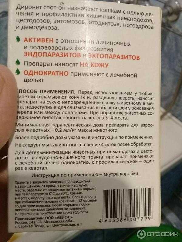 Через какое время умирают глисты у кошки после применения препарата диронет