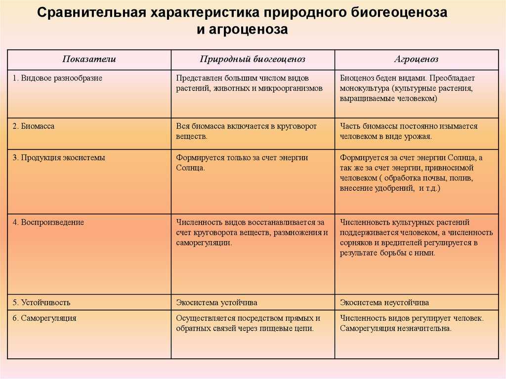 Биогеоценоз