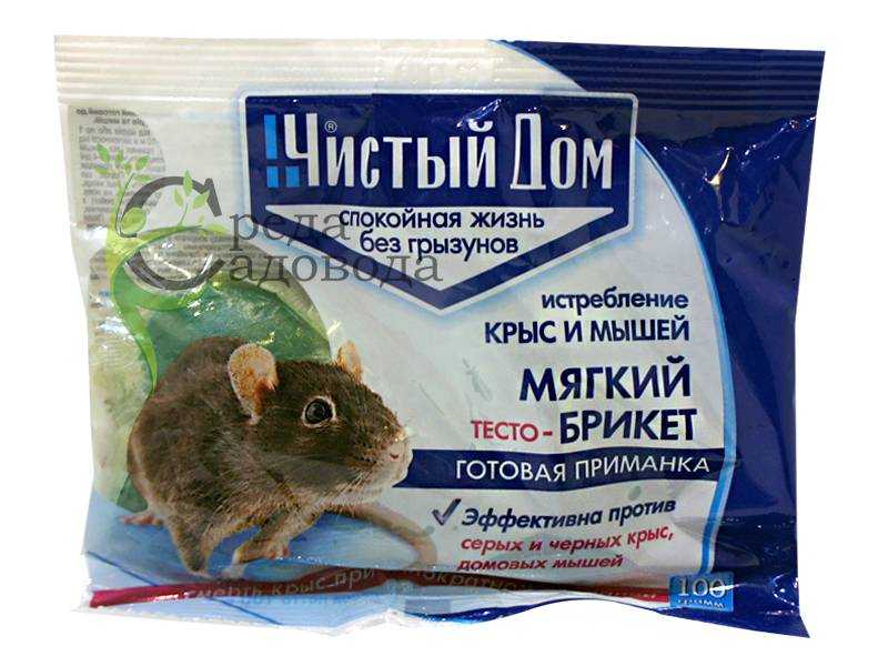 Инстинкты кошки кратко обществознание