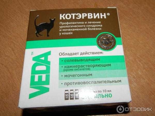 Геморрой у кошек: причины, симптомы, диагноз, лечение, профилактика - все о геморрое у кошек | поликлиника № 5 - медицинское учреждение мурманска