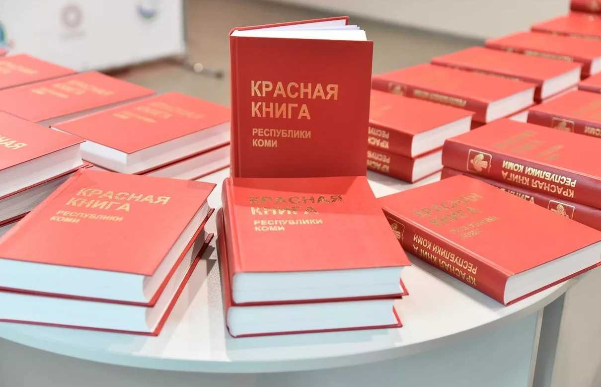 Хищные птицы: фото с названиями и описанием