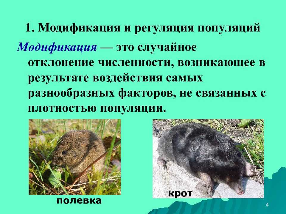 Экология