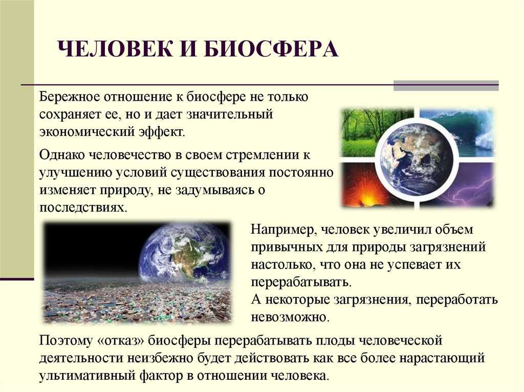 Наиболее актуальные экологические проблемы биосферы