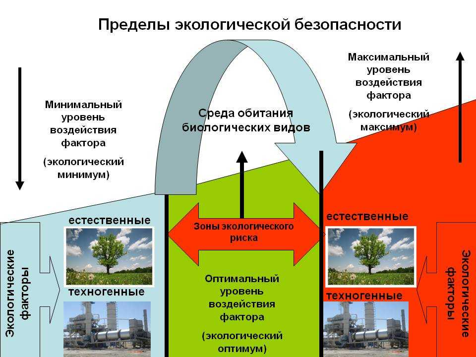 Обеспечение экологической безопасности в российской федерации