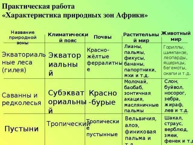 Саванна - описание и характеристики природной зоны, флора и фауна. 11 животных, которые живут в саванне