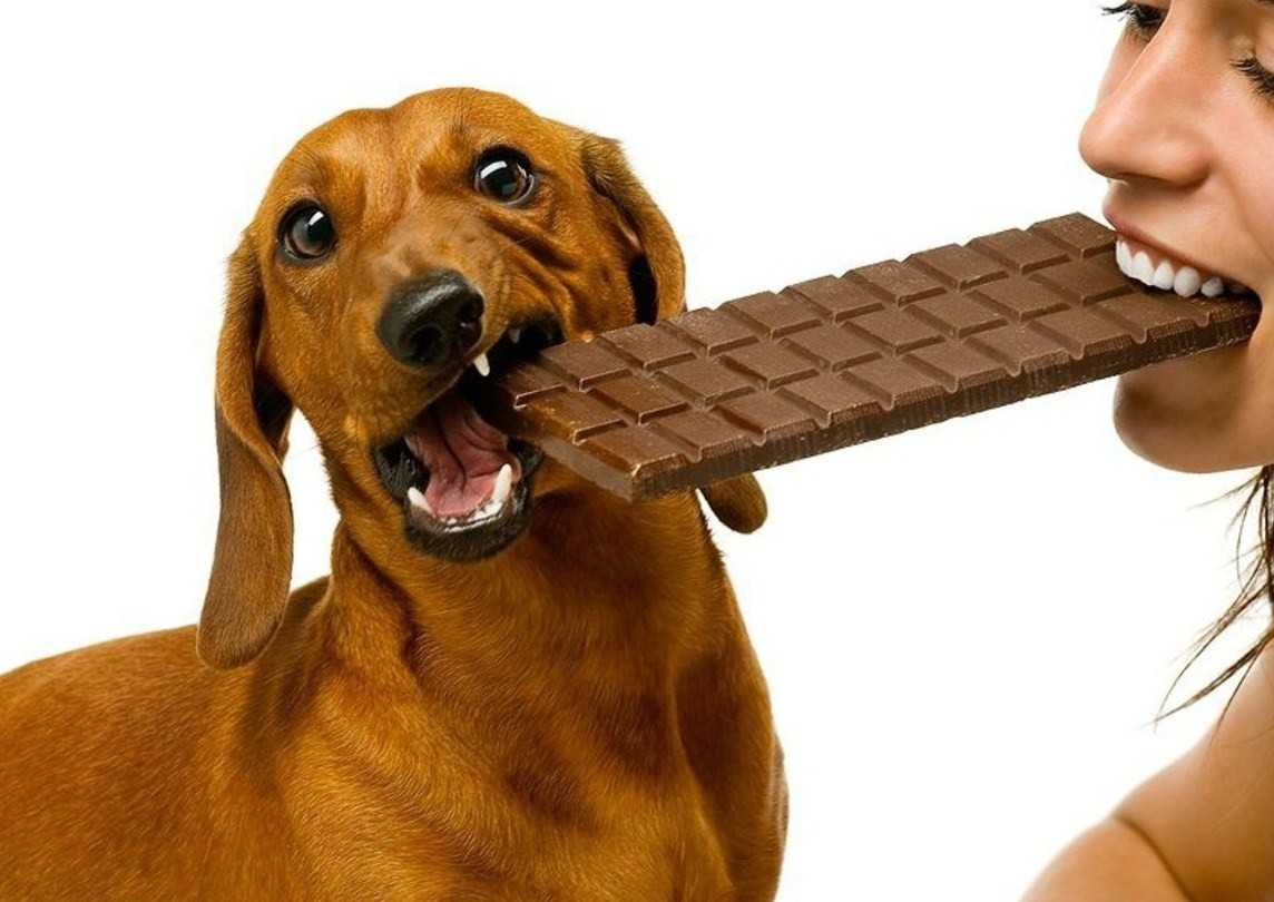 20 вкусных рецептов десертов и сладостей