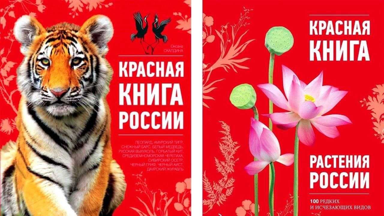 Красная книга камчатского края