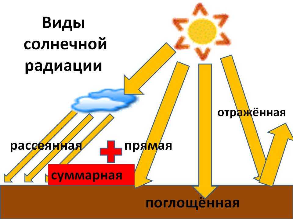Глава 2 радиационный и световой режим
