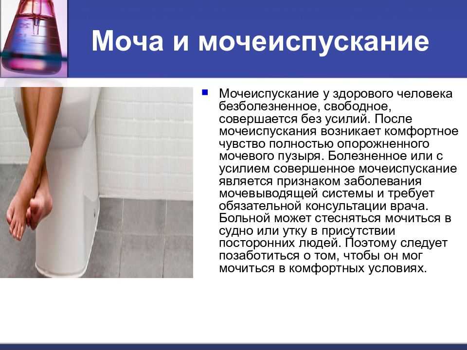 Что значит, если моча кота стала сильно пахнуть