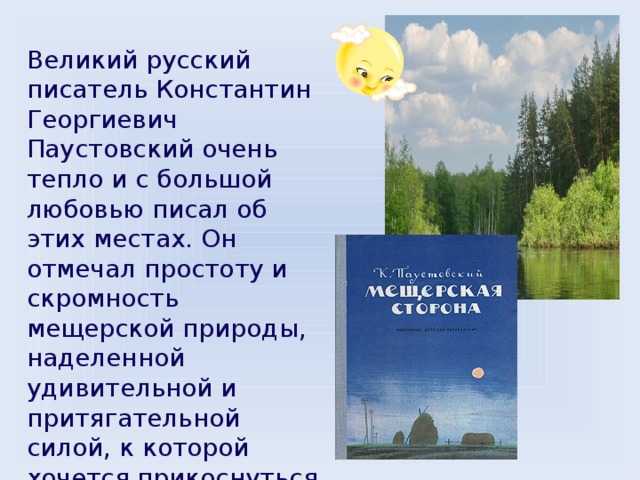 Хвойные и лиственные леса