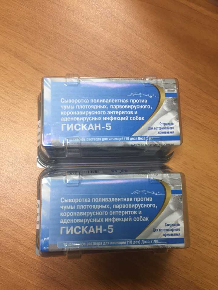 Прививки для собак