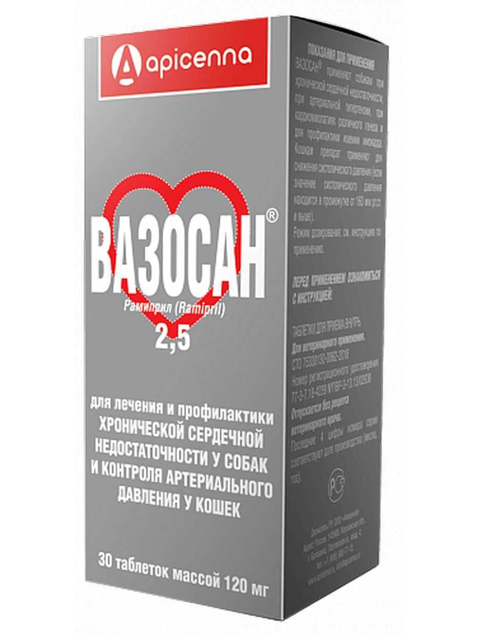 Faq по вакцинации собак - докторвет