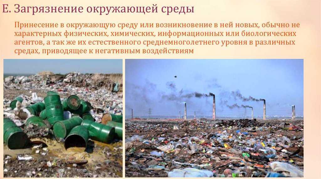 Биологическое загрязнение окружающей среды