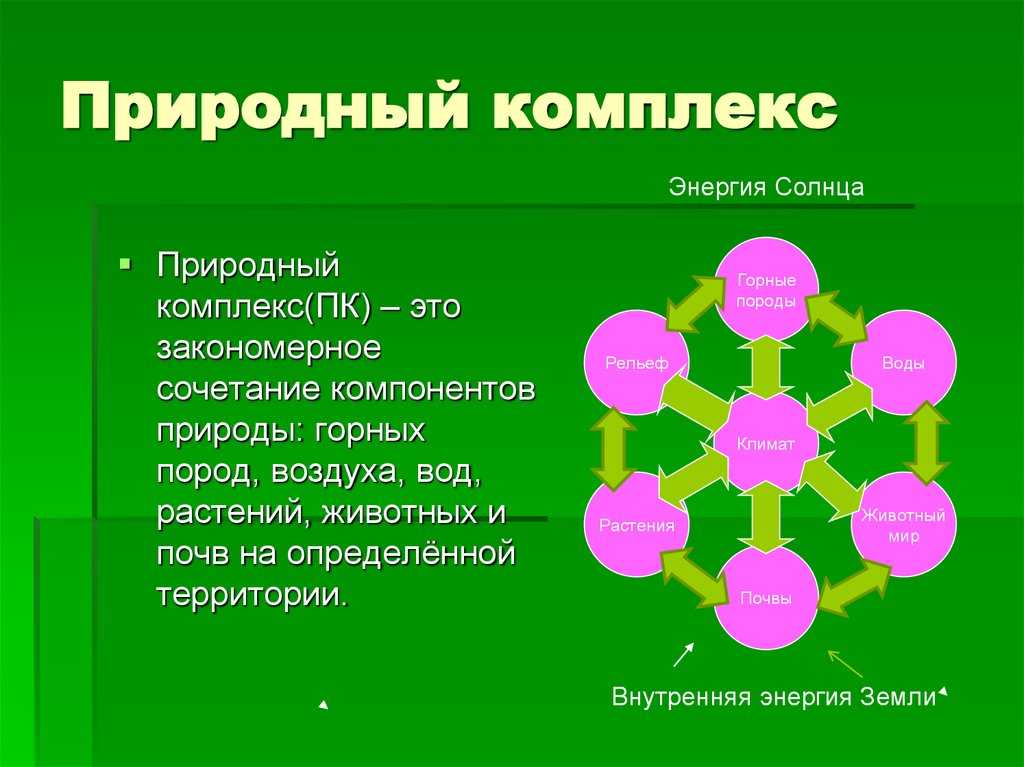 Размещение природных зон на земле - описание, закономерности и характеристика