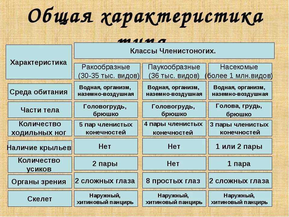 Класс насекомые их отряды, основные признаки и значение