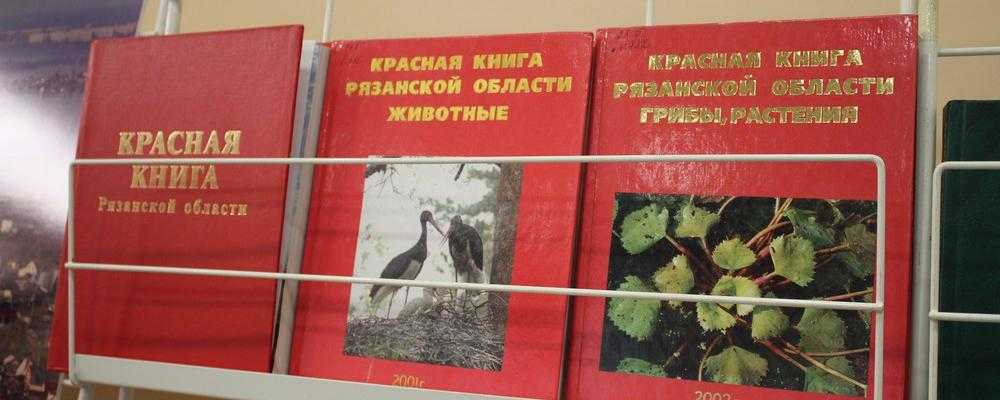 Рязанская область: разнообразие животного мира