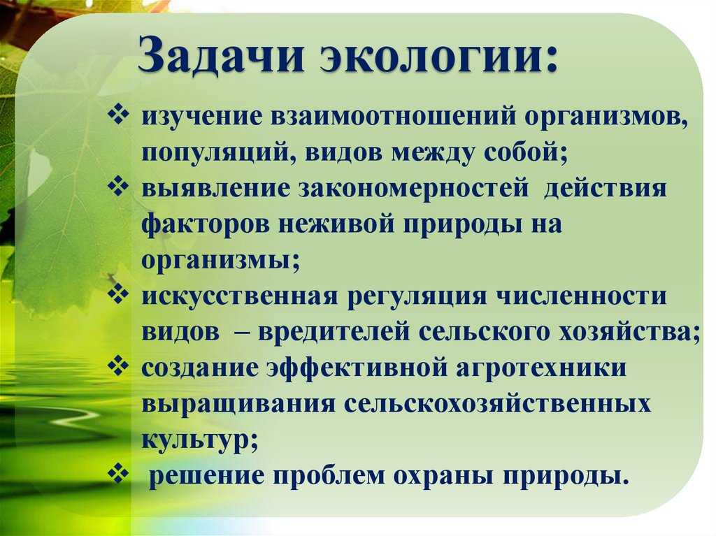 Экологические проблемы смешанных и широколиственных лесов россии