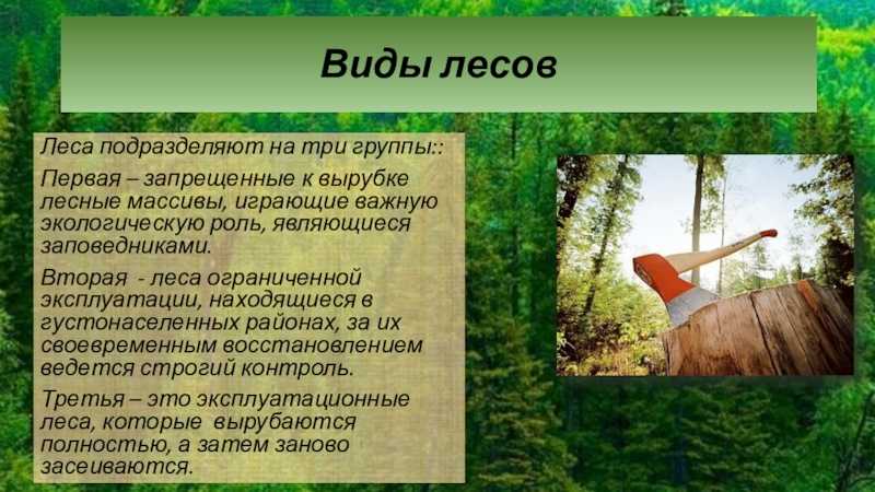 Как уничтожение тропических лесов может быть остановлено: эффективные способы борьбы