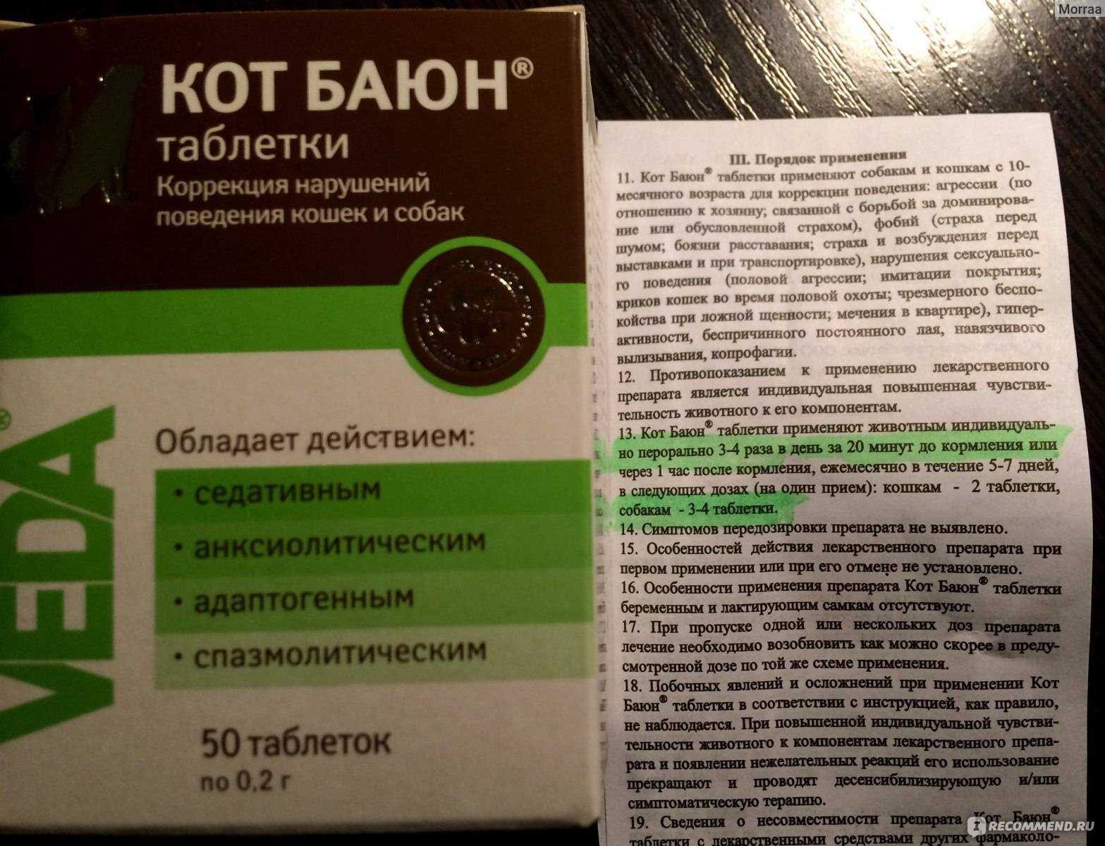 Как успокоить собаку: ошейник, музыка, в поездке, машине, ночью, перед ветеринаром - zoosecrets