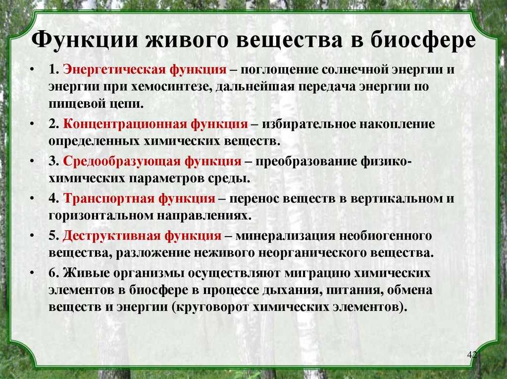 Презентация функции живого вещества в биосфере  доклад, проект
