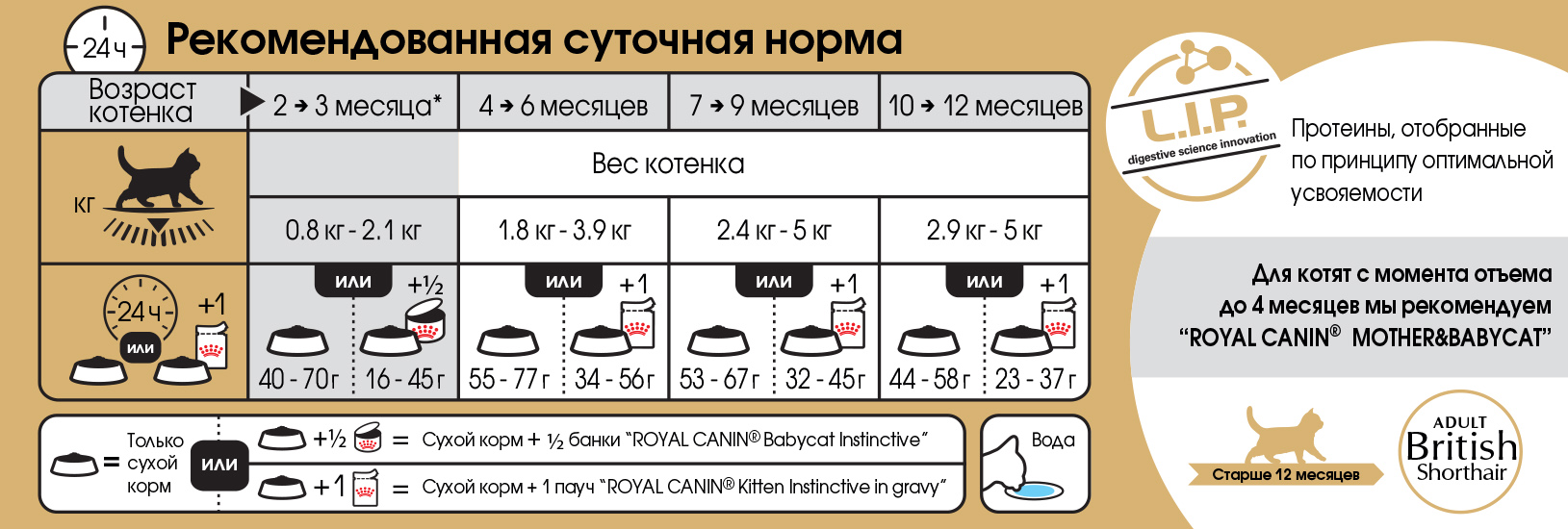 Чем кормить кошку, если она ничего не ест: выясняем причины и подбираем рацион | звери дома