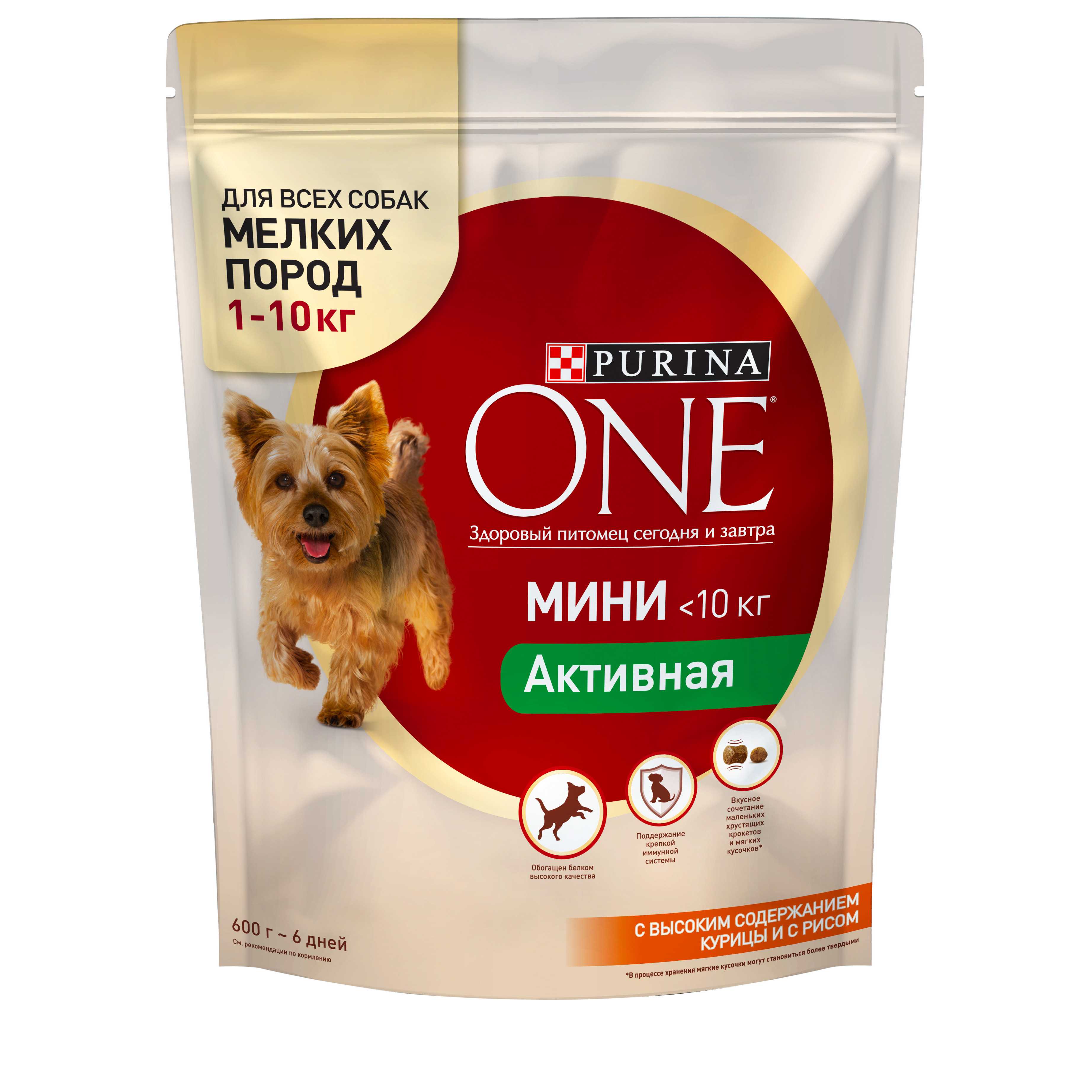 Российские корма для собак (обзор отечественных кормов)
