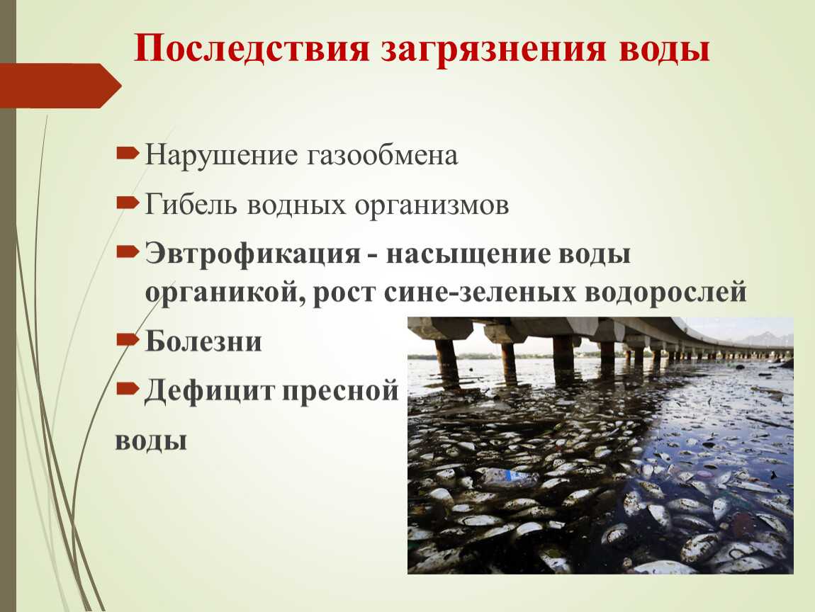 Экологическое состояние реки волги 10 класс презентация, доклад