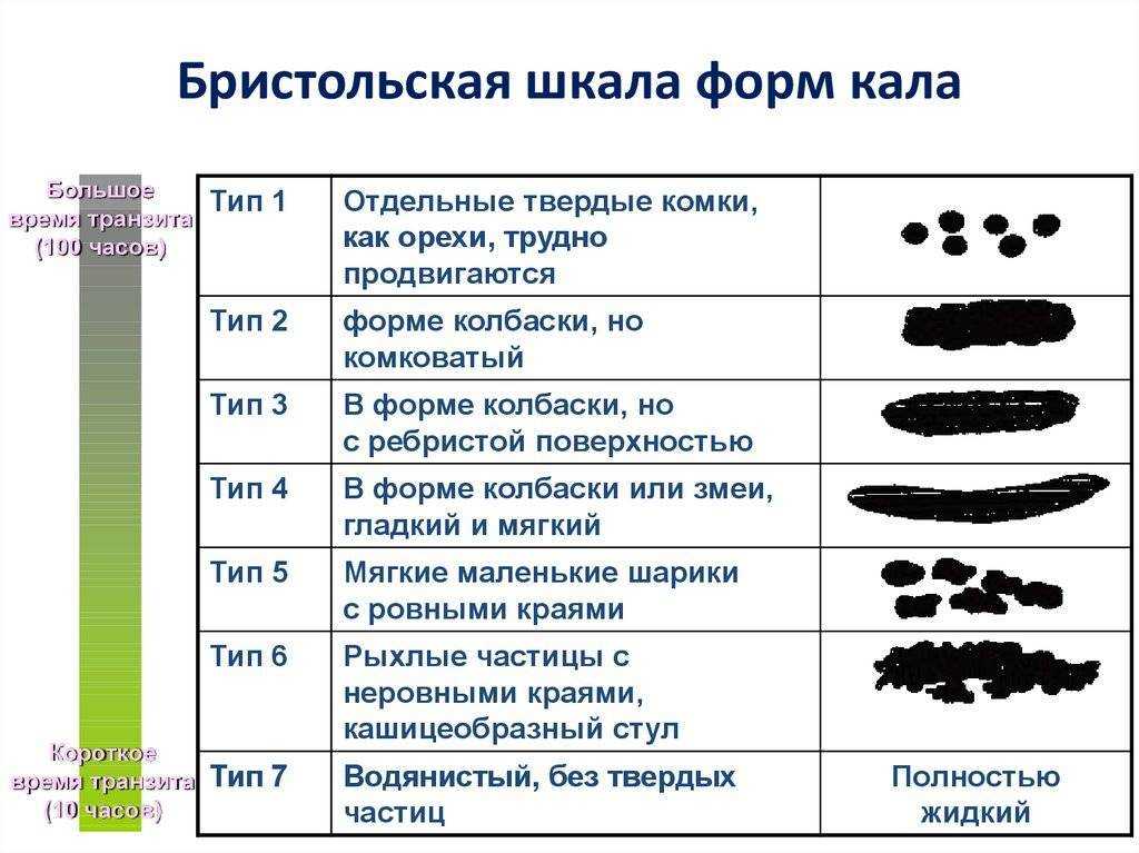 Черный кал у кошки причины, почему у кота черный кал - ветклиника зоостатус