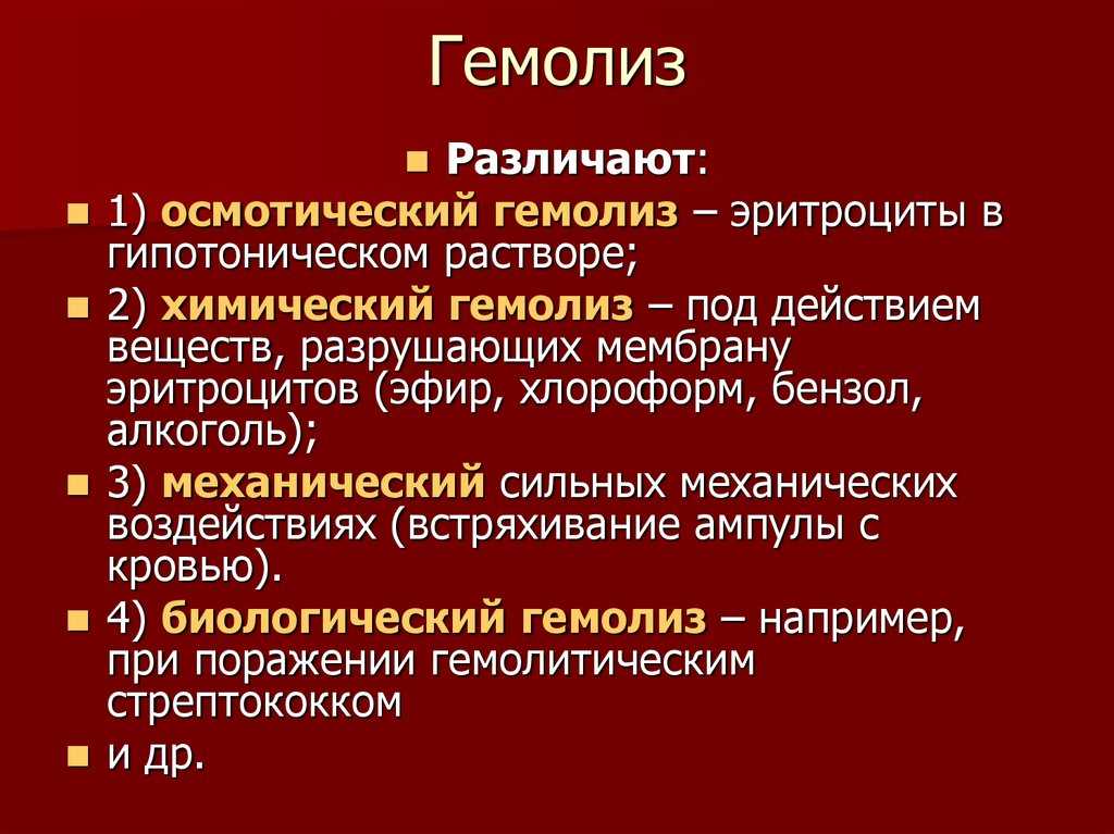 Анемия у собак: признаки, симптомы и лечение болезни