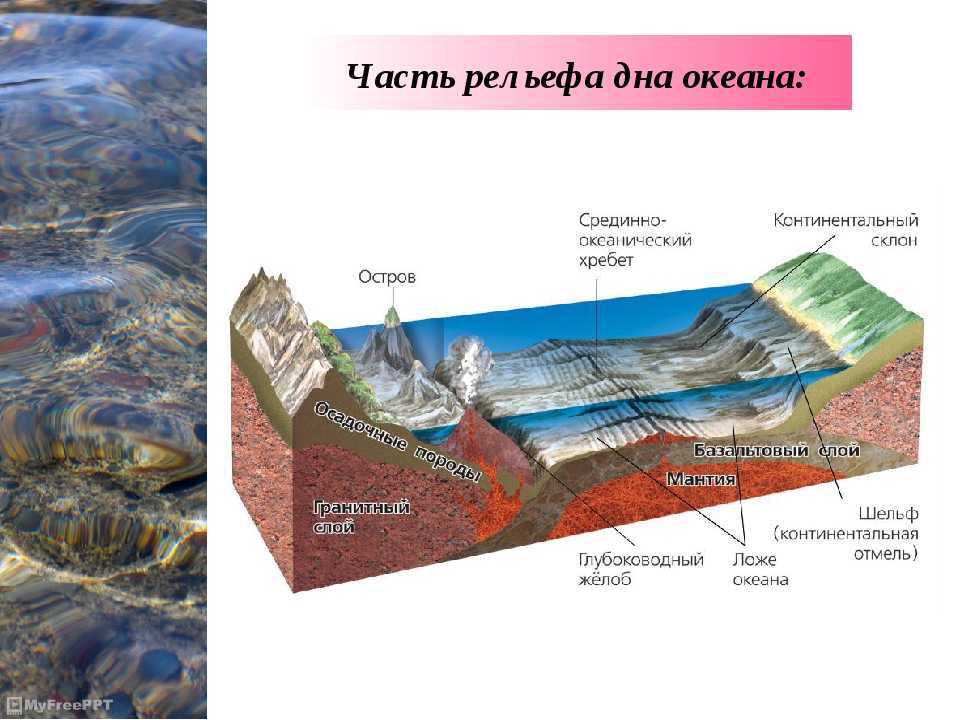 Геологическая деятельность океанов и морей | образовательный геологический сайт юрия попова