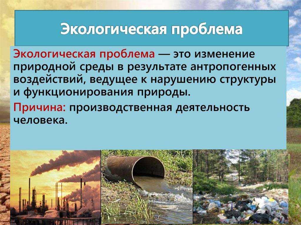 Региональные экологические проблемы на 2023 год
