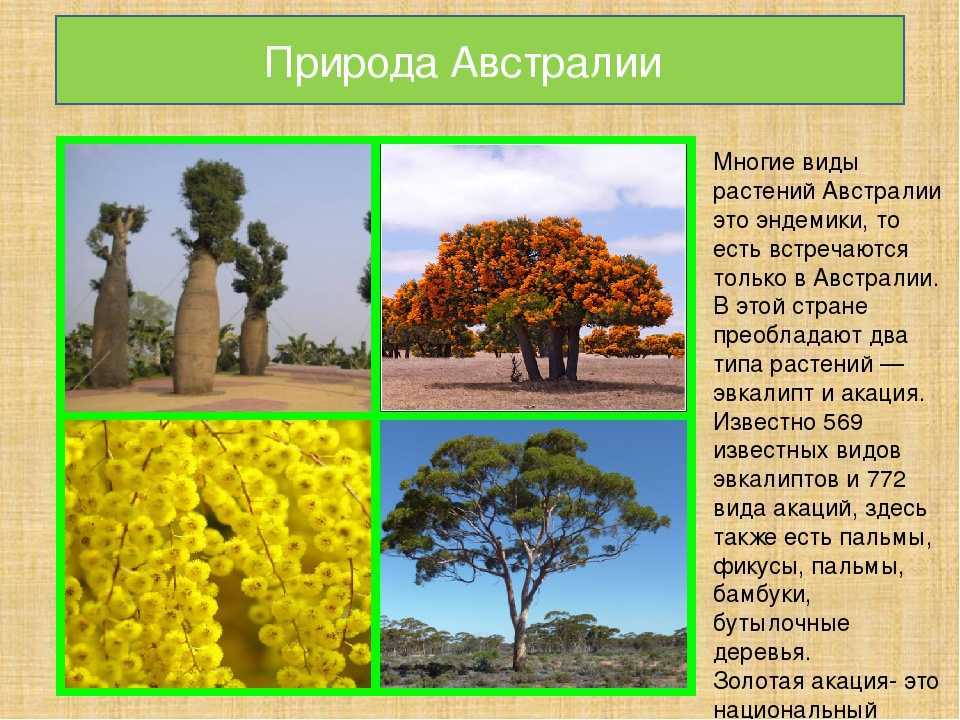 Природа австралии