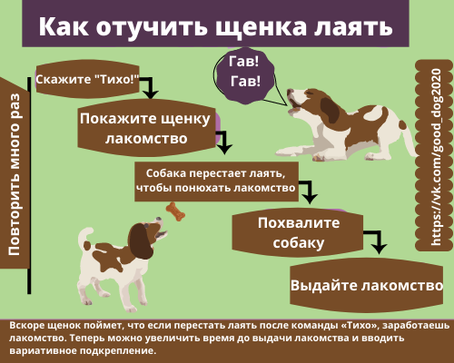 Как научить собаку охранять и быть злой к незнакомцам