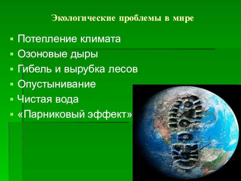 Загрязнение окружающей среды: виды, основные источники, последствия и методы решения проблемы