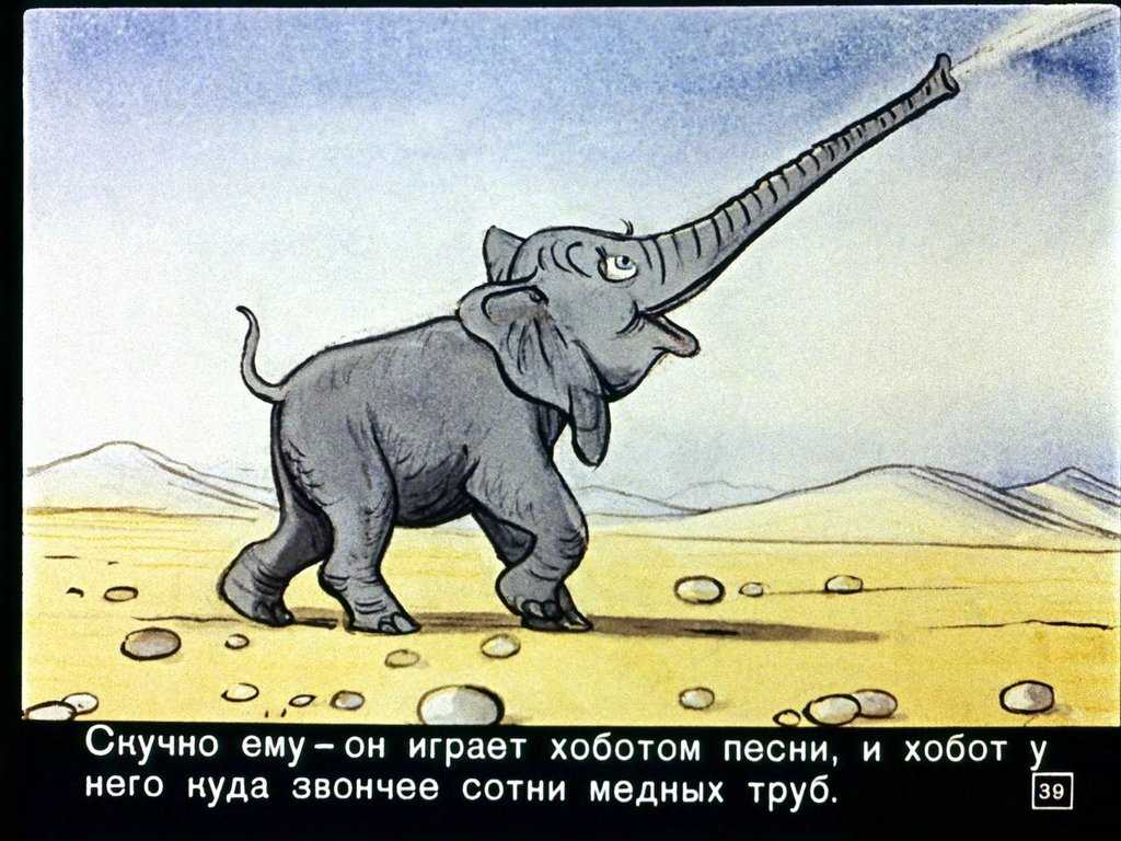 Зачем слону нужен хобот