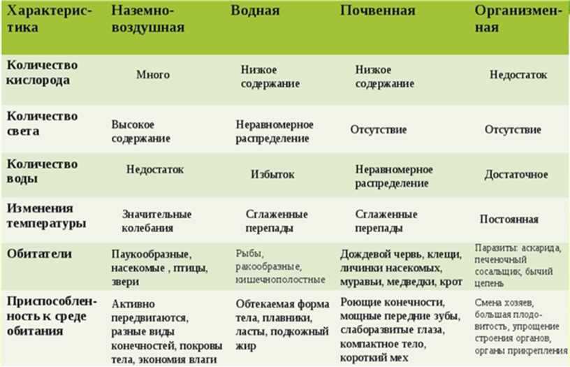 Волк: внешний вид, фото, особенности, интересные факты, среда обитания