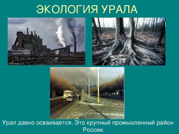 Возможные экологические последствия разработки уранового месторождения «добровольное» звериноголовского села курганской области | статья в журнале «молодой ученый»
