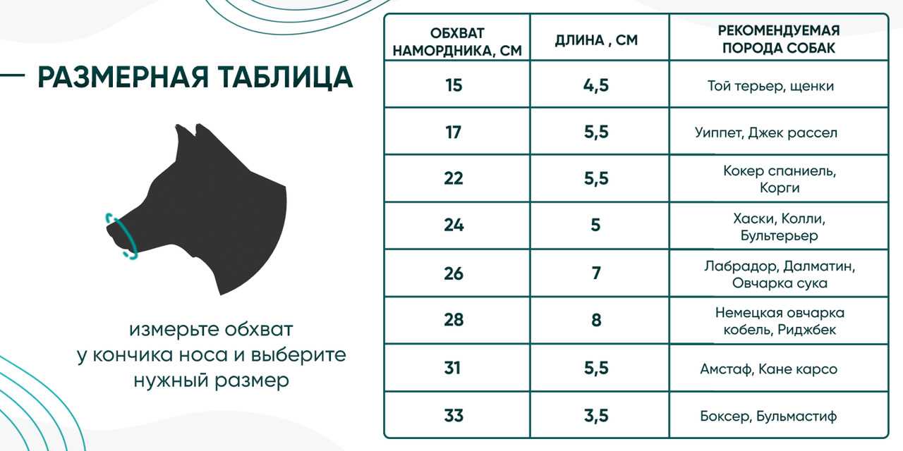 Все техники массажа для собак: практическое руководство