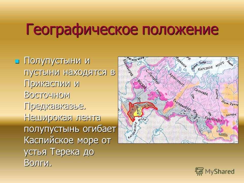 Природные зоны россии: степь, субтропики, пустыня и полупустыня