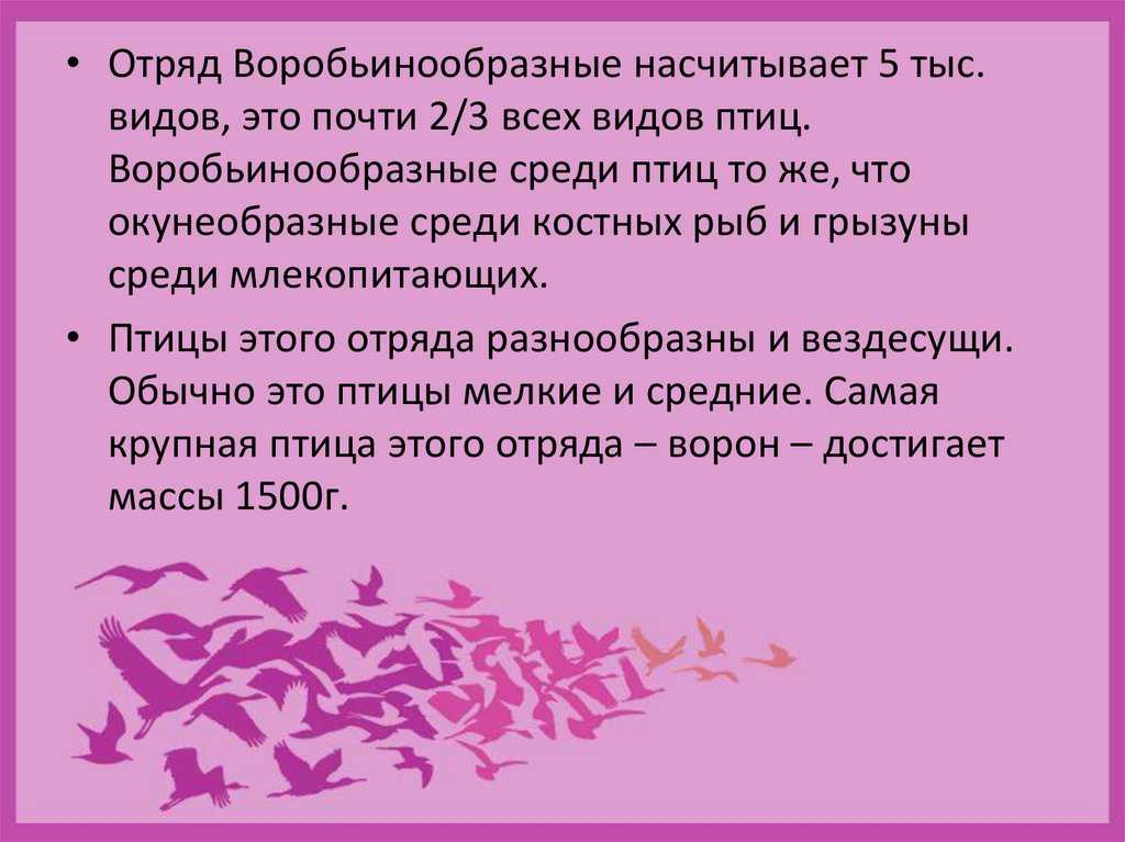 Воробей