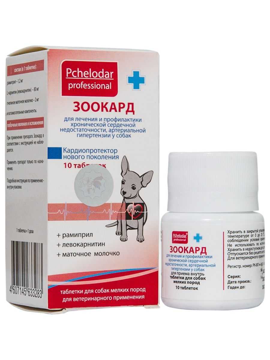 Препарат зоокард для кошек: помощь при сердечно-сосудистых заболеваниях