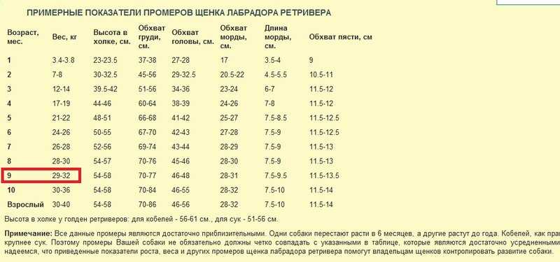 Окрас - сайт neardamokennel