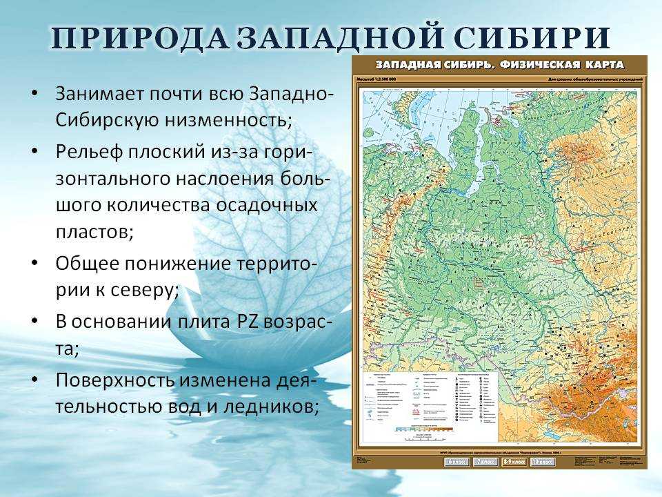Полезные ископаемые западно сибирской равнины