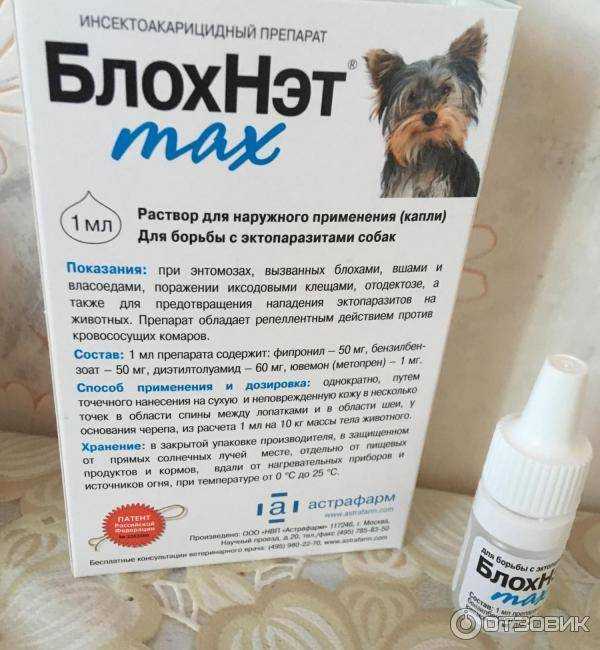 Блохнэт для собак инструкция отзывы - все инструкции и руководства по применению